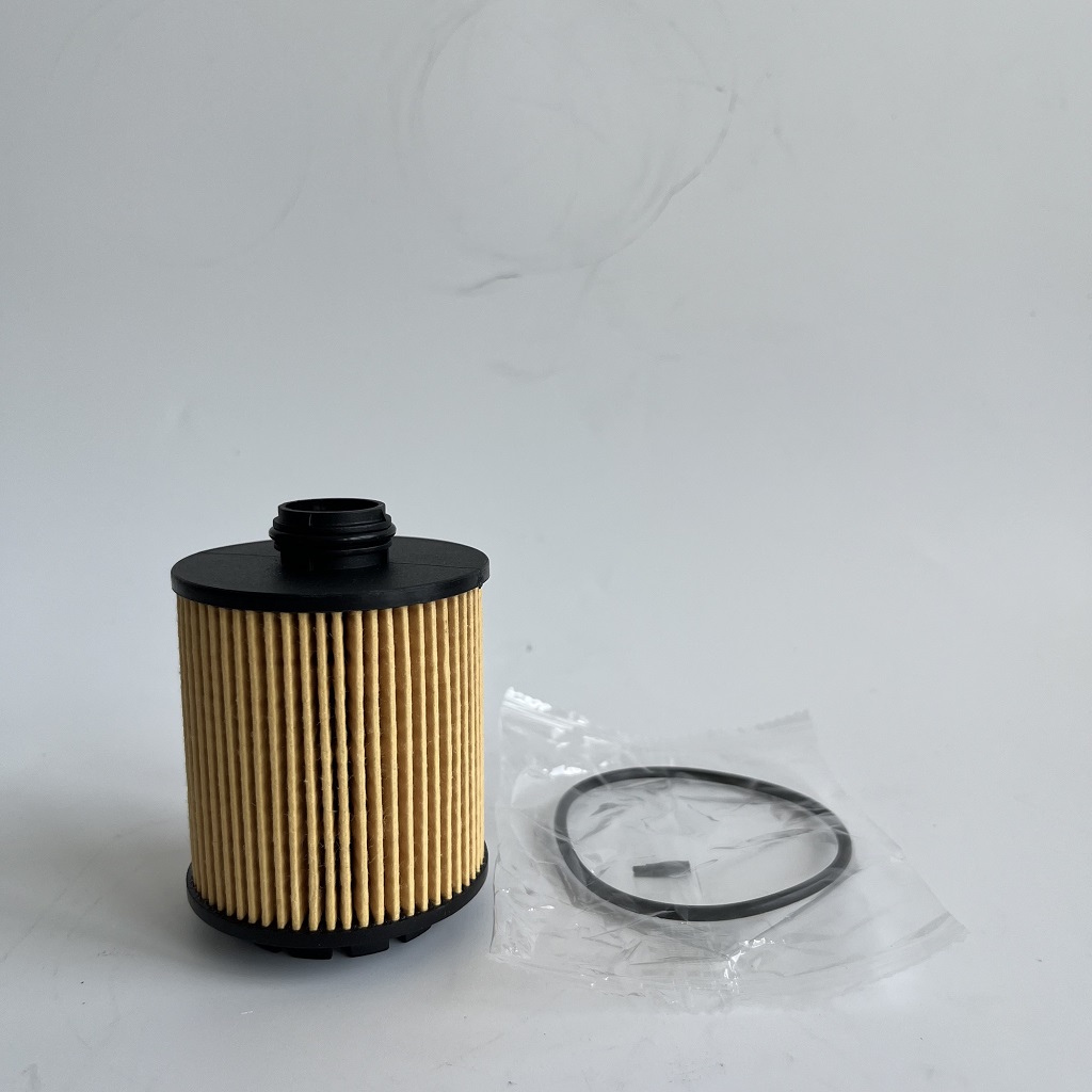 HU7043Z 1612565980 Oliefilter til Petgeot