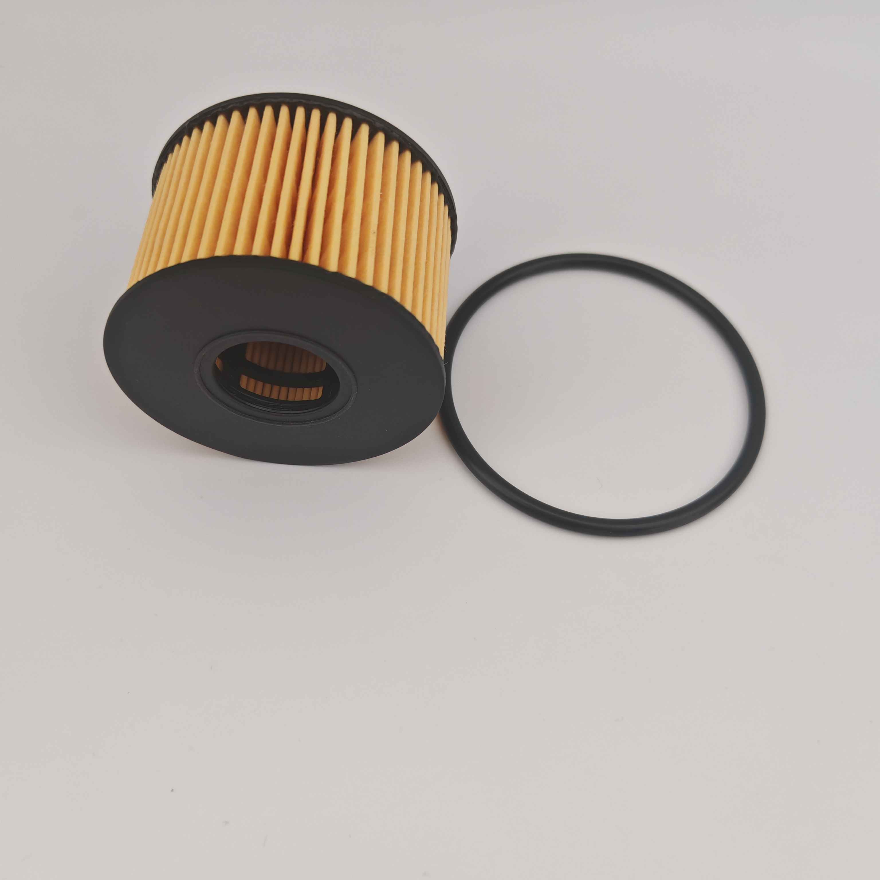 MS1-6744-AA OX1243D FOH5013 Oliefilter til JMC